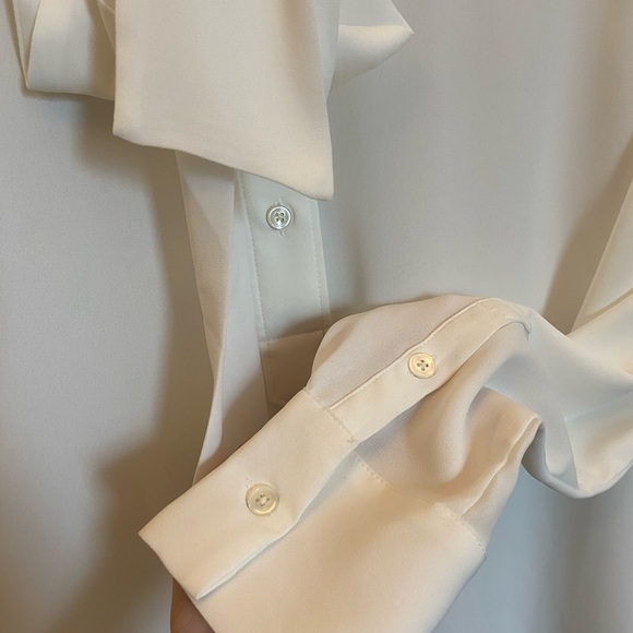 Aritzia Babaton Blouses - Picture 7 of 7